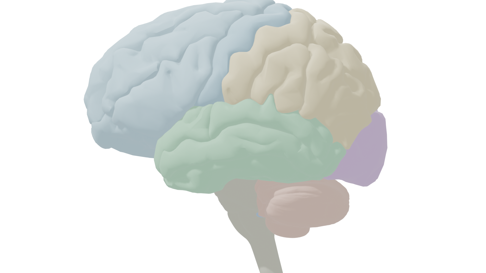 Midsagittal view