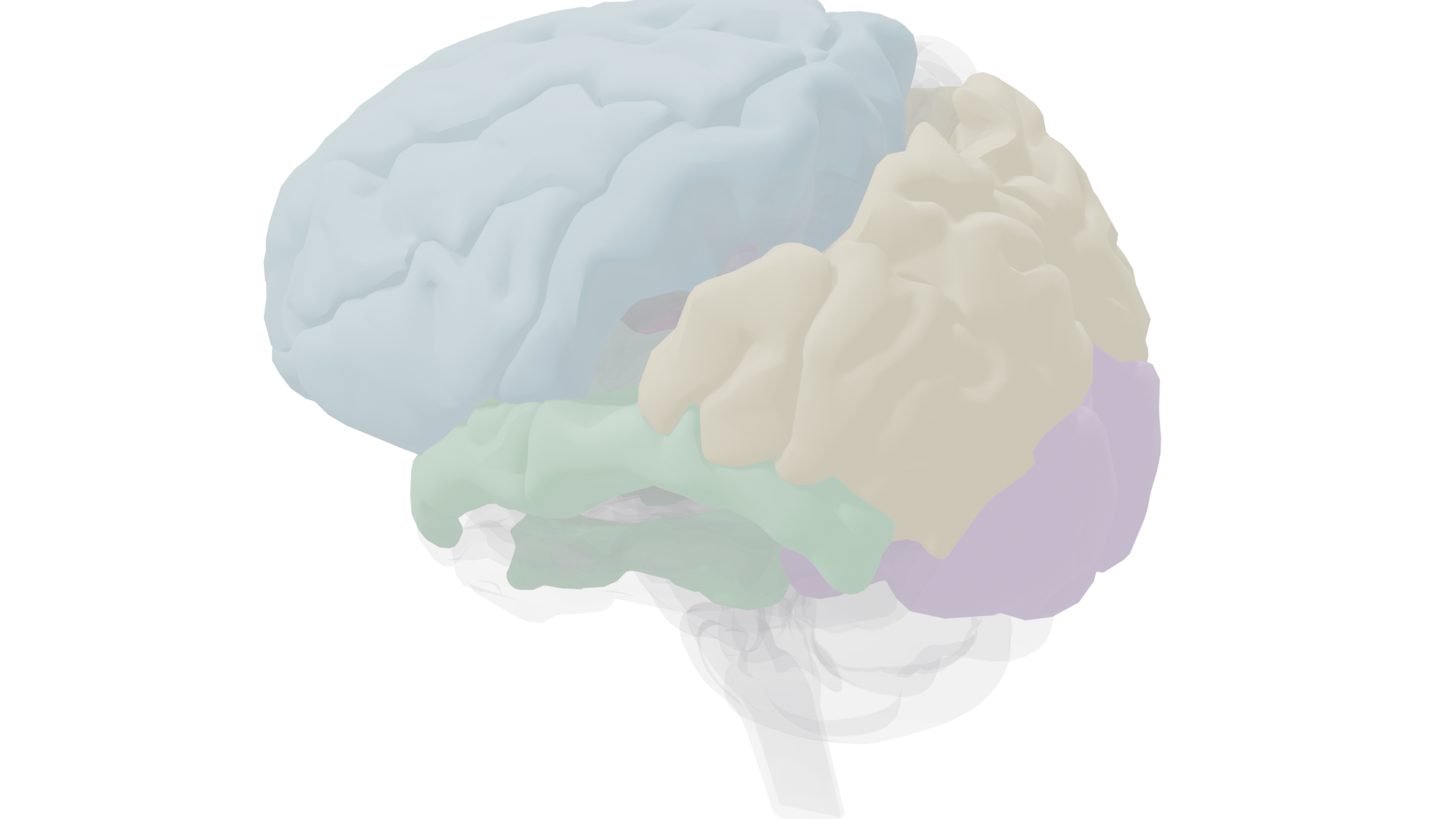 Deep structures with cortex ghosted