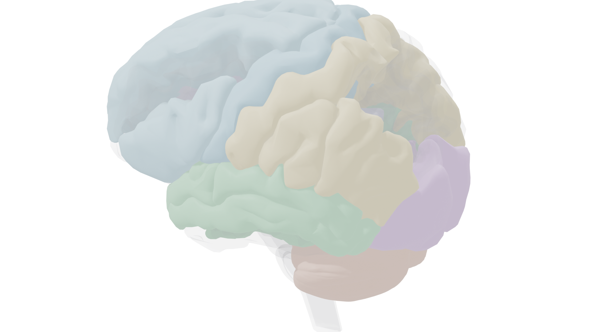 Deep structures with ghosted cortex overlay