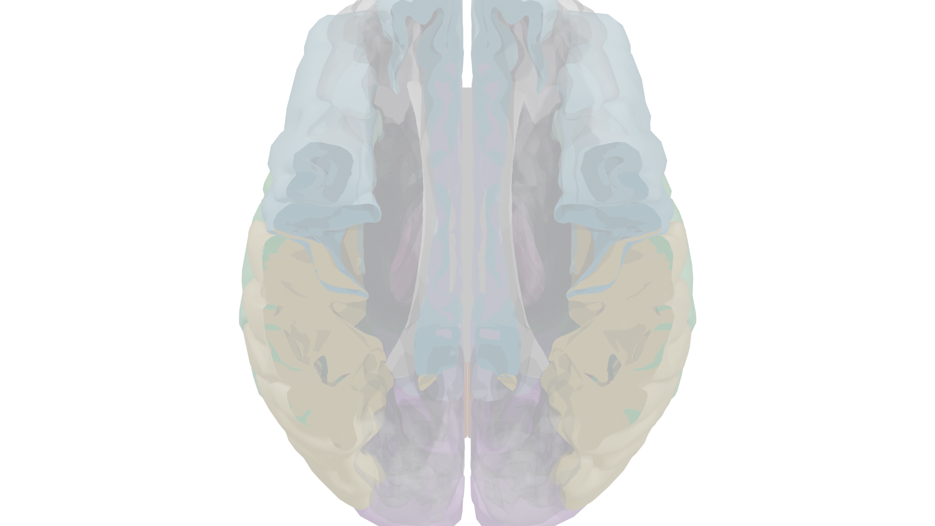 Superior section showing the corpus callosum bridging the two hemispheres from above